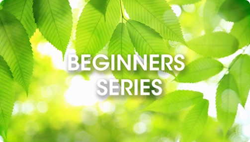 BEGINNERS SERIES